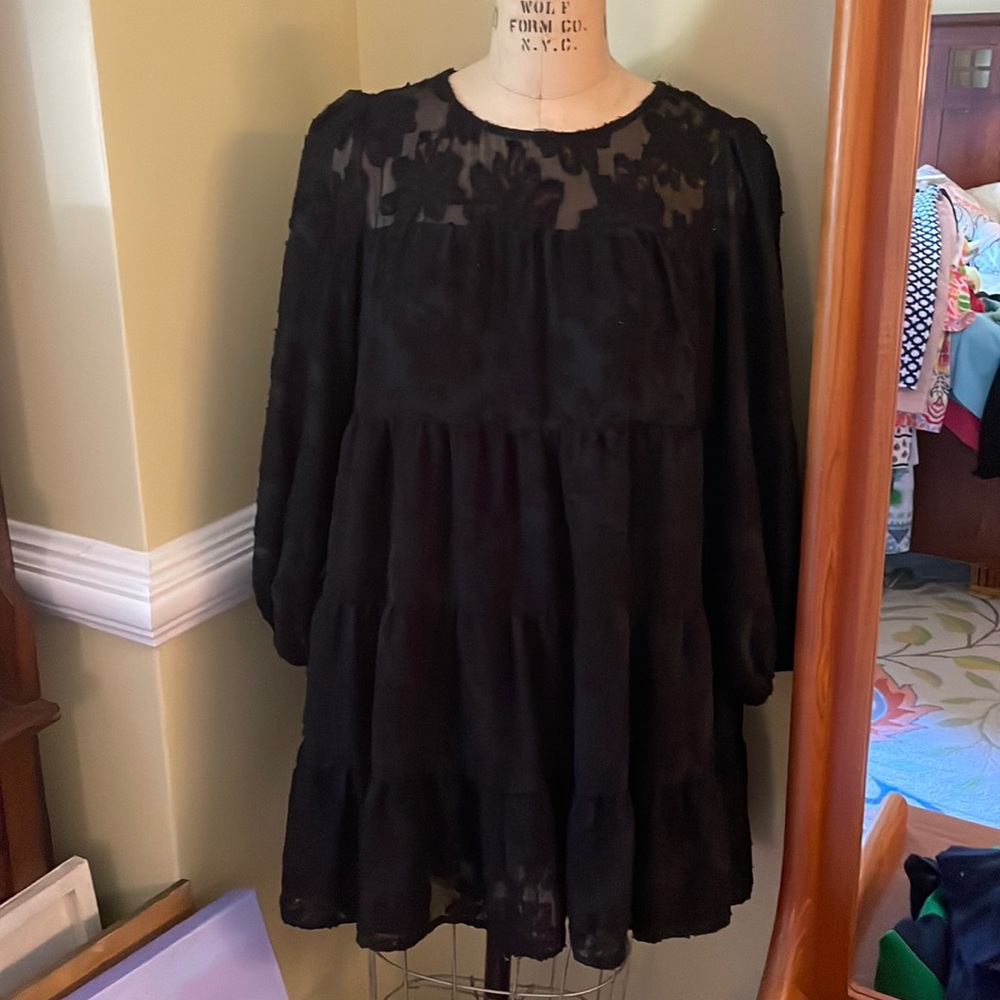 Zara Black Sheer Yoke Tiered Long-Sleeve Dress